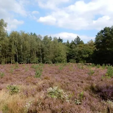 Glamping Veluwe Luxe Glamping In De Voor 6 Personen Ll94 *