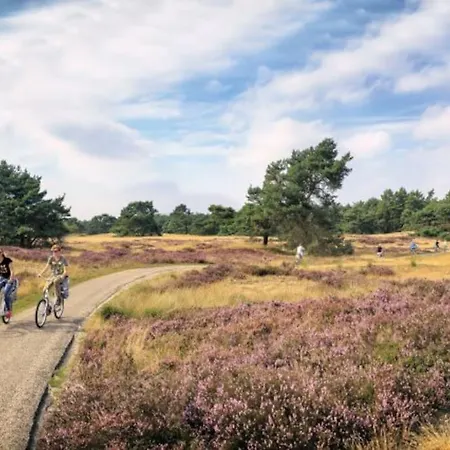 Veluwe Luxe Glamping In De Voor 6 Personen Ll94 Glamping Putten