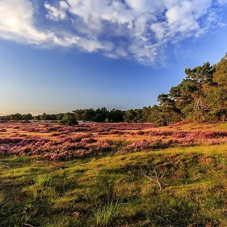 Veluwe Luxe Glamping In De Voor 6 Personen Ll94
