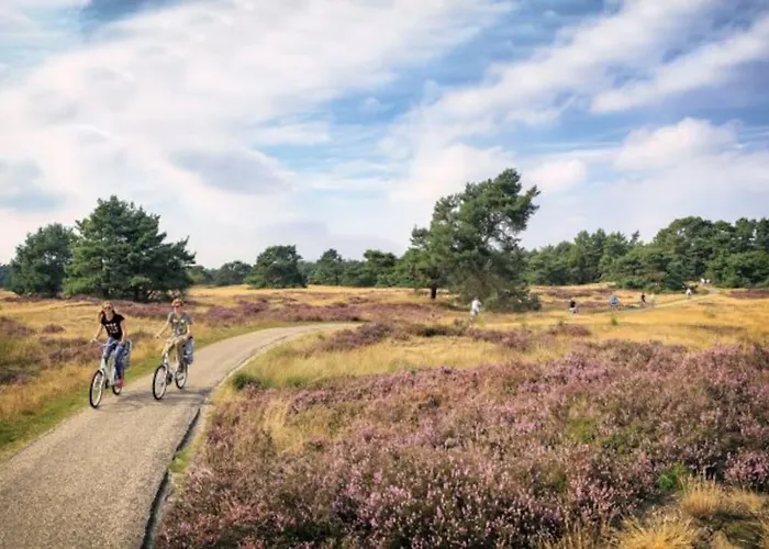 Veluwe Luxe Glamping In De Voor 6 Personen Ll94 Campo de lujo Putten