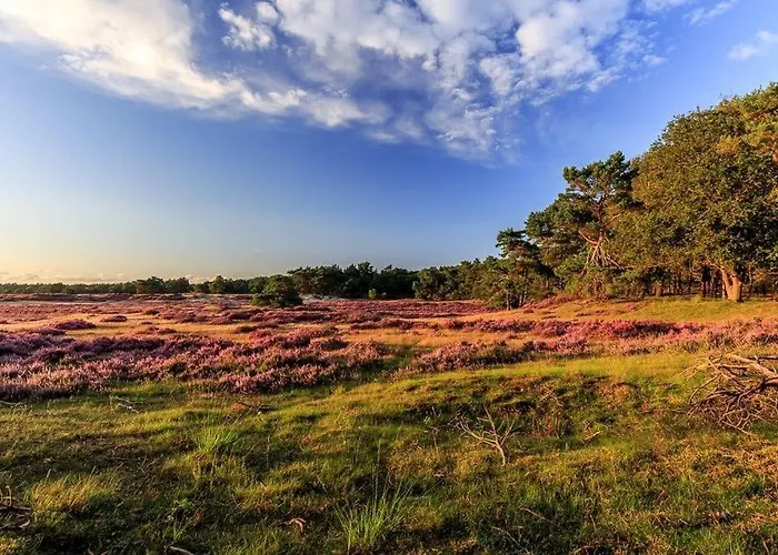 Veluwe Luxe Glamping In De Voor 6 Personen Ll94