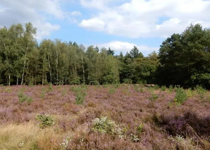 אוהל מפואר Veluwe Luxe Glamping In De Voor 6 Personen Ll94 *