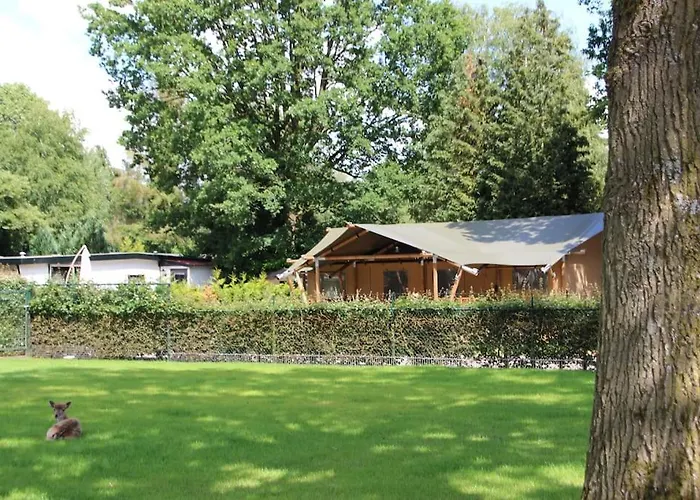 Veluwe Luxe Glamping In De Voor 6 Personen Ll94 אוהל מפואר